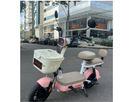 Bike Elétrica Duos Bee autopropelido